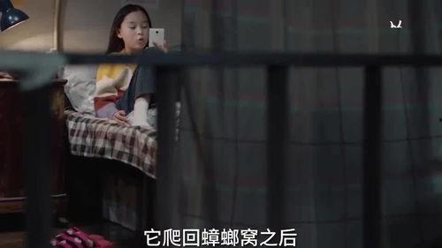 小孩爆料瞬间视频大全集,小孩爆料视频集锦回顾  第1张