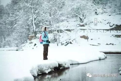最新爆料六图雪地图片下载,冬日雪地美景，带你领略纯净自然之美”  第3张