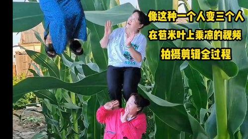 农村玉米爆料视频大全,农村玉米爆料视频大盘点  第3张